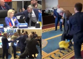 Delegati i Ukrainës godet me grusht rusin në asamblenë e vendeve të Detit të Zi në Ankara ( Video )
