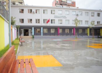 Të rinjtë braktisin arsimin për shkak të emigracionit, ja renditja e Shqipërisë në Rajon