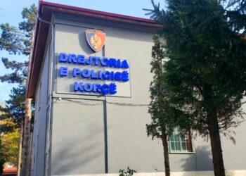 Shtirej si “Agjente postare private”, bie në prangat e policisë së Korçës 46-vjeçarja