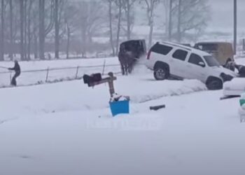 ACAR! 55 viktima nga stuhia polare në SHBA