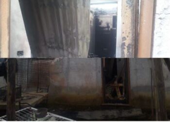 U gjet i djegur në kasollen e bagëtive, zbulohen detaje të reja: Zjarri ndodhi si pasojë e…