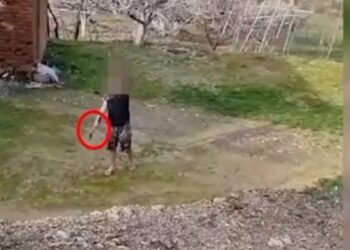 EMRI/ Dhunoi të atin dhe e kërcënoi se do të vriste , prangoset 35-vjeçari në Maminas