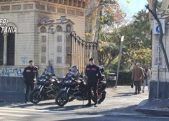 E rëndë/ Shtatë të rinj përdhunojnë një 13-vjeçare para syve të të dashurit