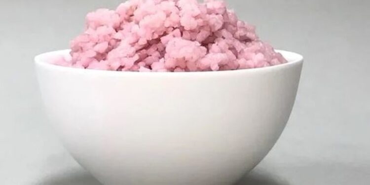 Ushqimi më i ri hibrid nga laboratori është orizi “mishtor”