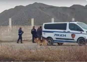 U vra në vendin e punës, ky është ekonomisti në Kurbin (Foto)