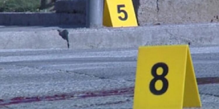 Përgjaket 8-Marsi, shqiptari qëllon me armë zjarri 30-vjeçaren serbe dhe më pas vret veten