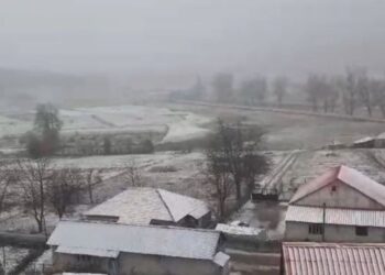 ‘Çmendet’ moti në vend, Elbasani përfshihet nga reshjet e borës