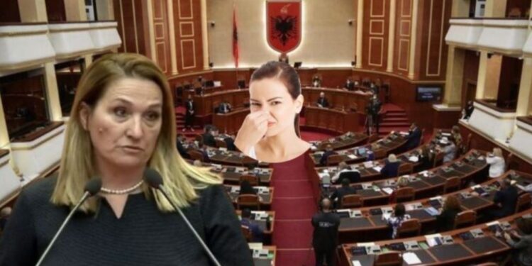 “Në Parlament vijnë njerëz që s’e njohin dushin dhe briskun”/ Deputetja flet pa dorashka: I sheh me kollare por…