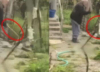 VIDEO/ I moshuari vari dhe dhunon barbarisht macen