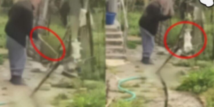 VIDEO/ I moshuari vari dhe dhunon barbarisht macen