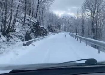 Shkodra e Korça mbulohen nga dëbora