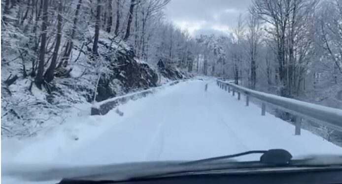 Shkodra e Korça mbulohen nga dëbora
