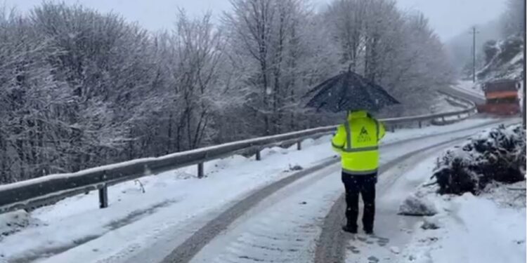 Po vonon Pranvera/ Arrin në 5 cm trashësia e dëborës në qarkun e Korçës