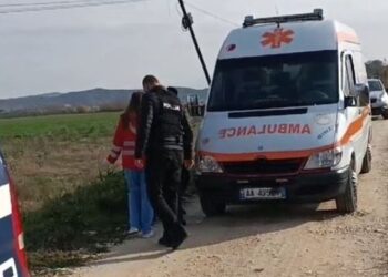 U zunë për pronat/ Sherr me armë dhe sëpatë mes vëllezërve, njëri në gjendje të rëndë në spital (EMRI)