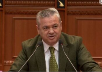 Kundër bashkimit të grupit Bardhi-Berisha/ Të mos e shqyejmë partinën nën emrin ‘Hapje’