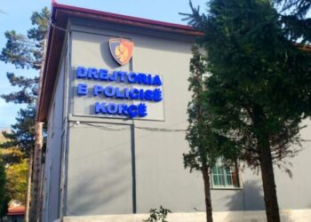 Braktisi dy fëmijët e saj, e pëson nëna në Devoll