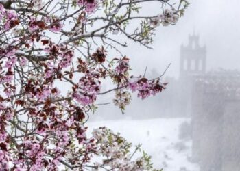 Dimër në pranverë, në këtë muaj rikthehen bora dhe temperaturat e ulëta