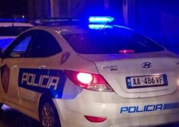 Nisin kërkimet për trupin e foshnjës/ Çfarë tha para policisë nëna 42-vjeçare që mbyti të sapolindurin