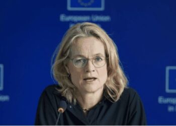 Eurodeputetja përplaset ashpër me Bërnabiç për Kosovën: Nuk varet nga ju anëtarësimi në KiE