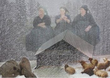 “Këto nuk janë ‘plakat’ e prillit”/ Çfarë po paralajmëron meteorologia Lajda Porja?