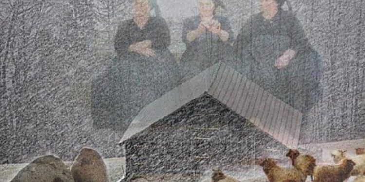 “Këto nuk janë ‘plakat’ e prillit”/ Çfarë po paralajmëron meteorologia Lajda Porja?