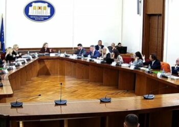 Përplasje te Komisioni Hetimor për Shëndetësinë/ Vasili: Nënkryetarit s’i vjen turp, i thotë kryetares…