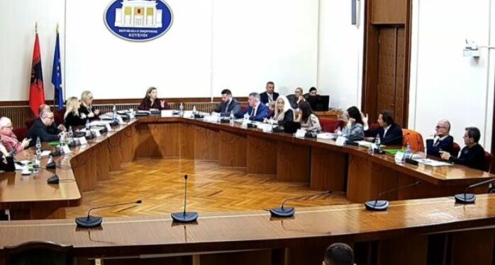 Përplasje te Komisioni Hetimor për Shëndetësinë/ Vasili: Nënkryetarit s’i vjen turp, i thotë kryetares…