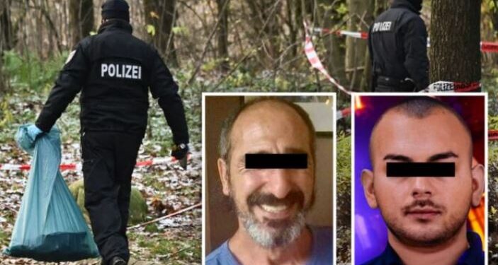 Zbardhet vrasja e burrelsit në Gjermani/ Krimin e mori përsipër 17-vjeçari nga Lushnja