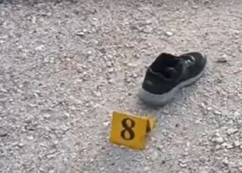 Aksidenti i rëndë me 1 viktimë në Lushnjë, dalin pamjet nga vendi i ngjarjes (Foto)