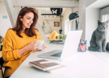 Vijnë si turistë, por punojnë online nga Shqipëria, ja ç’është viza D