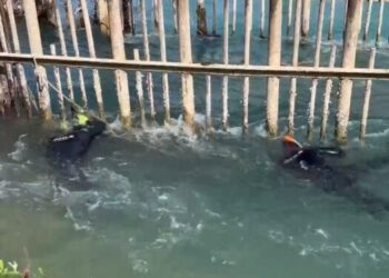 Nëna me 3 fëmijët u hodhën në lumin Bunë, gjendet trupi i pajetë vajzës së dytë