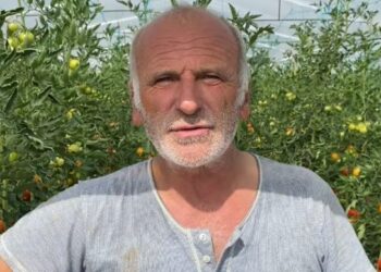 Perimet do hidhen në kanale, në Dimal fermerët ankohen për çmimet e grumbullimit: Nuk na mbulon kostot e investimit