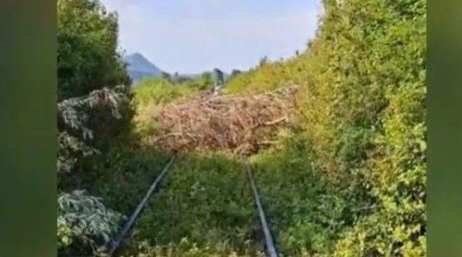 Pemët e prera hidhen mbi hekurudhë, bllokohet treni i linjës Shkodër-Laç