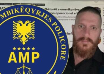 Vinte “gjoba” përmes portalit, vetëdorëzohet në polici ish-zyrtari i AMP-së (Emri)