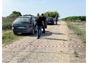 Tronditës! Daja tenton të përd*hunojë mbesën 11-vjeçare, më pas e vret me kaçavidë