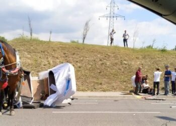 19-vjeçari përplas mjetin me karrocën në aksin Elbasan-Cërrik. Ngordh kali, plagoset pronari