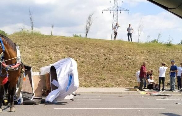 19-vjeçari përplas mjetin me karrocën në aksin Elbasan-Cërrik. Ngordh kali, plagoset pronari