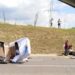 19-vjeçari përplas mjetin me karrocën në aksin Elbasan-Cërrik. Ngordh kali, plagoset pronari