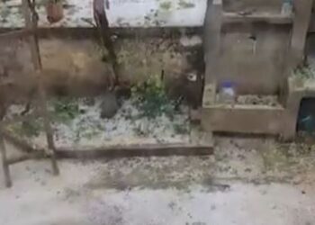 Kapriçot e motit! Erseka përfshihet nga breshëri i dendur, raportohen dëme të mëdha në frutorë