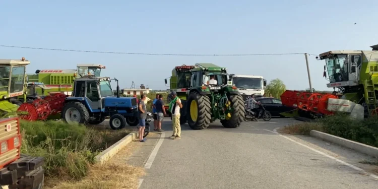 Protestë për grurin! Fermerët nuk pranojnë uljen e çmimit të grumbullimit