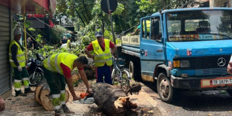 Pema bie mbi trotuar te “Myslym Shyri”, këputen kabujt elektrikë