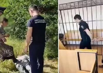 Refuzoi të kryente marrëdhënie seksuale me ta, i moshuari dhunohet për vdekje nga dy gra (Video)