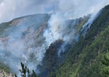 Përfshihen nga zjarri  pyjet në Orosh