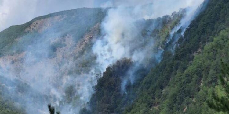 Përfshihen nga zjarri  pyjet në Orosh