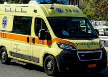 E zë korrenti nga makina e krasitjes, ndërron jetë shqiptari në Greqi