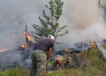 2 vatra aktive zjarri në qarkun e Dibrës/ Forcat zjarrfikëse në terren, në Lurë pritet ndërhyrja e helikopterit