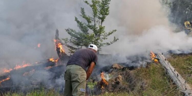 2 vatra aktive zjarri në qarkun e Dibrës/ Forcat zjarrfikëse në terren, në Lurë pritet ndërhyrja e helikopterit