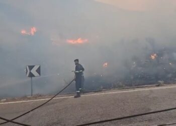 Situatë e rëndë në Dropull, zjarrfikësit nga 5 bashki,dhe ushtarët në luftë me flakët