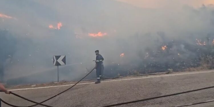 Situatë e rëndë në Dropull, zjarrfikësit nga 5 bashki,dhe ushtarët në luftë me flakët