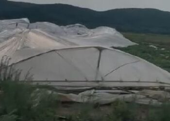 Stuhia në Elbasan, dëmton thuajse totalisht serat dhe të mbjellat e banorëve në zonën e…